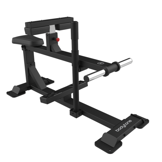 Seated Calf
