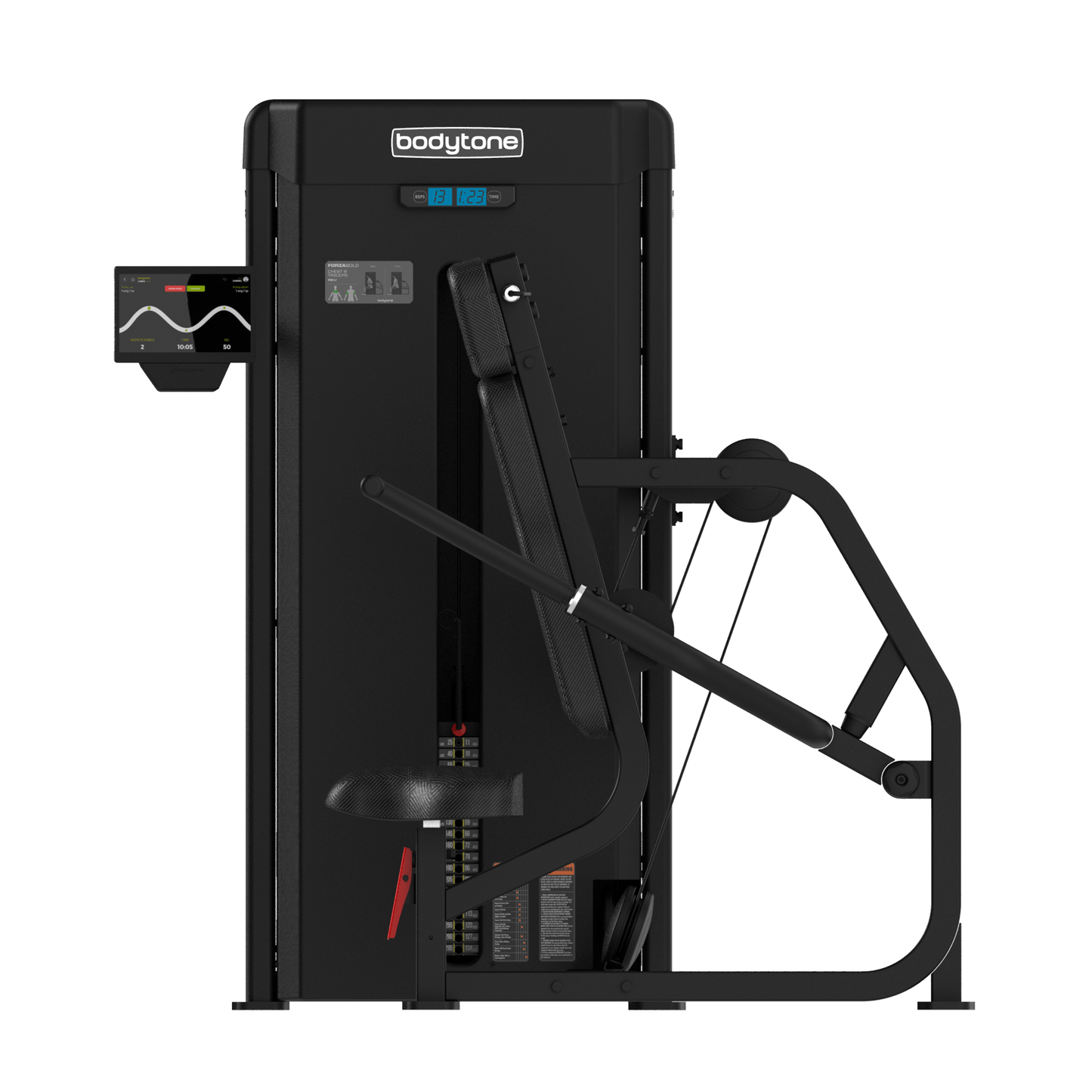 Forza Bold Chest and triceps 01