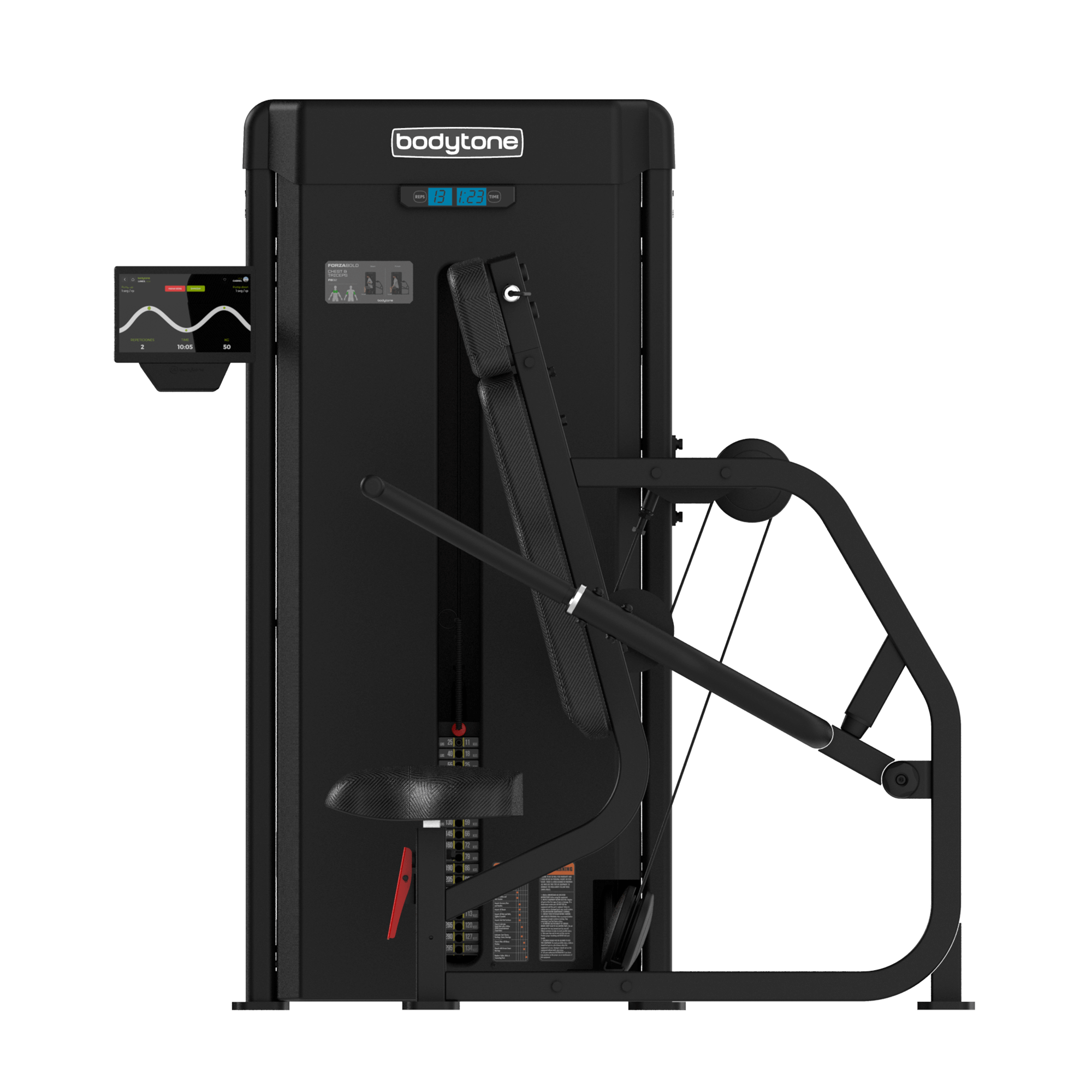 Forza Bold Chest and triceps 01