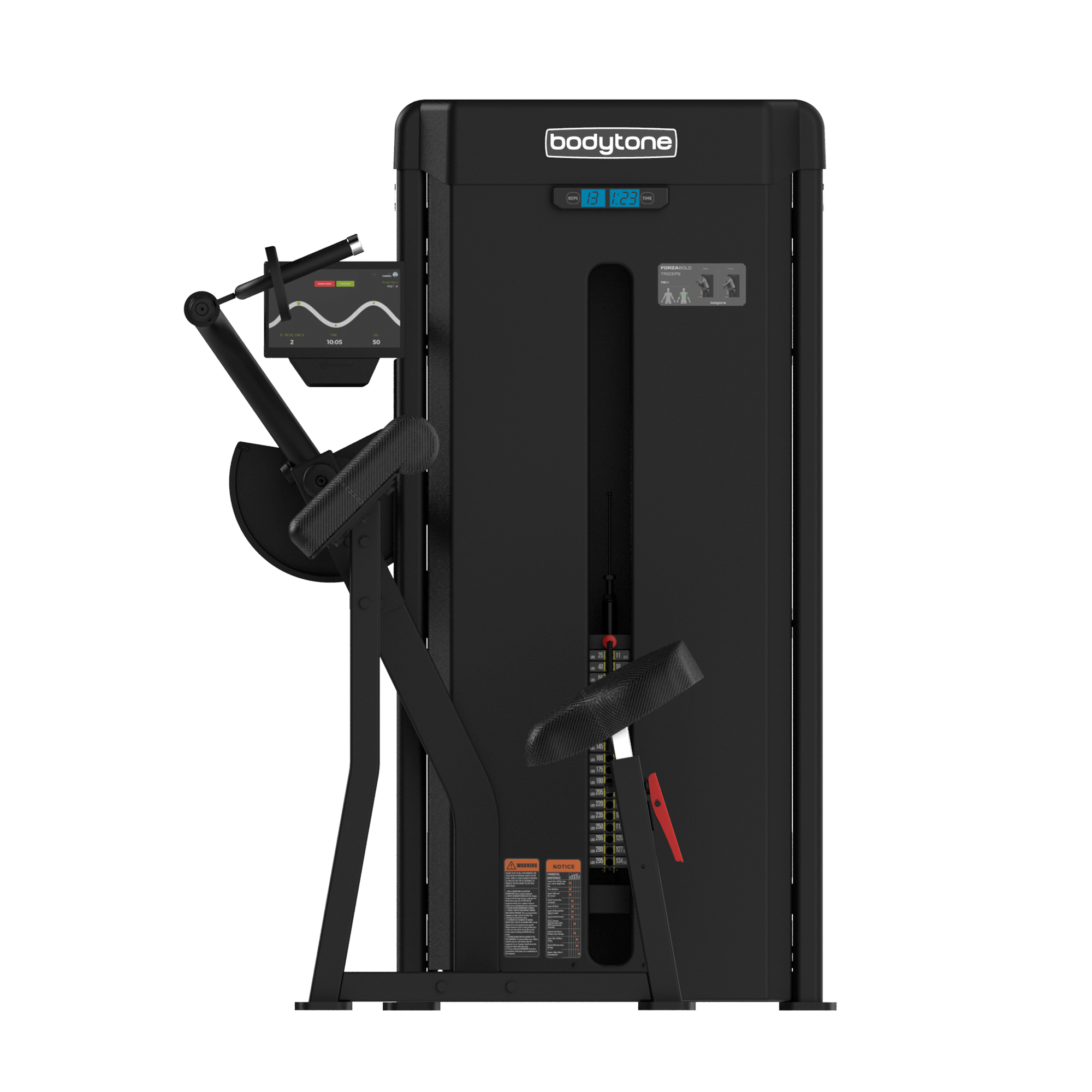 Forza Bold Triceps 01