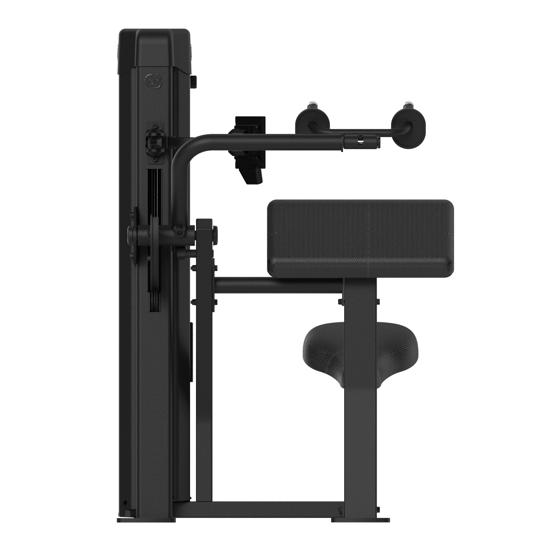 Forza Bold Triceps 04