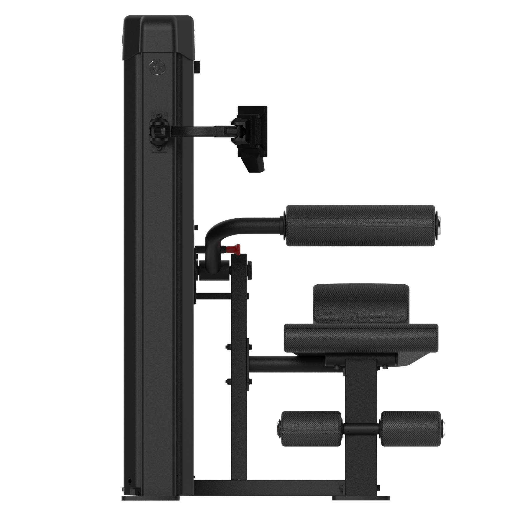 Forza Bold Abdominal 04