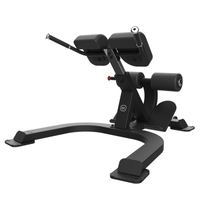 Back Extension