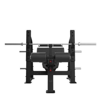 Olympic Decline Bench