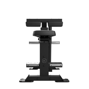 Seated Calf