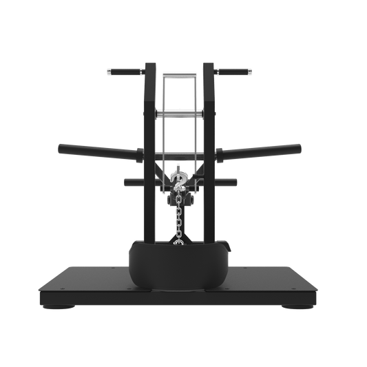 Belt Squat